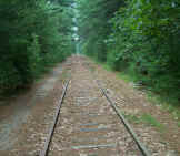 Trail in Groton