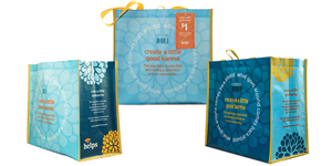 Hannaford shopping bags