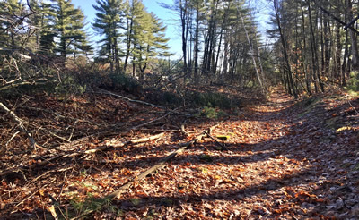 The first section cleared